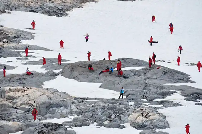 Путешествие в Антарктиду