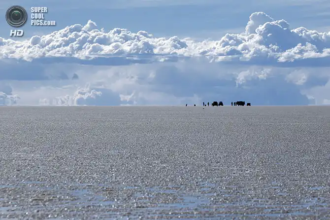 Ралли Дакар 2014. Дорога к финишу