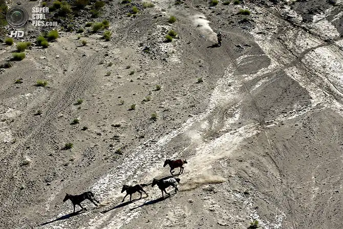 Ралли Дакар 2014. Дорога к финишу
