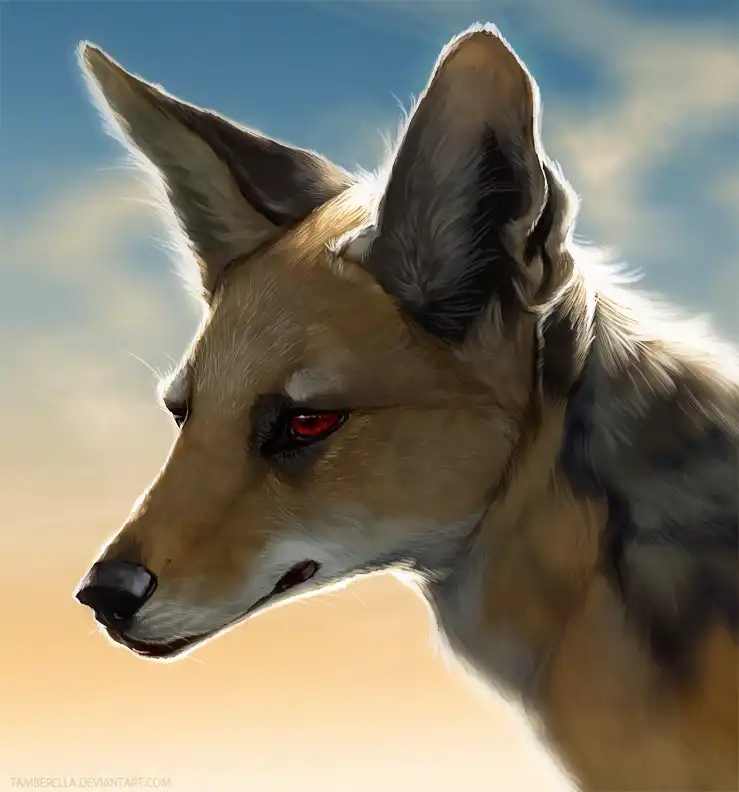 подборка разных рисунков