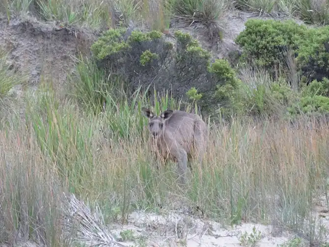 Несколько дней из жизни команды древнеславянская ладья