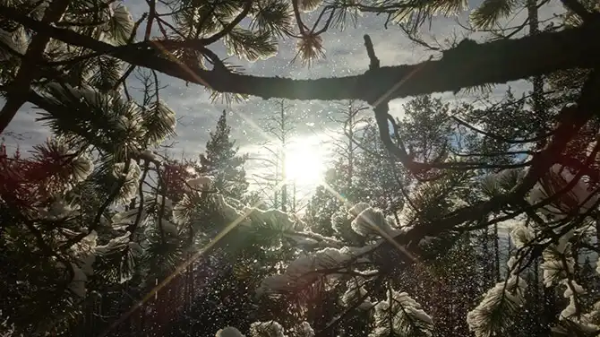 Победители AdMe Photo Awards 2013