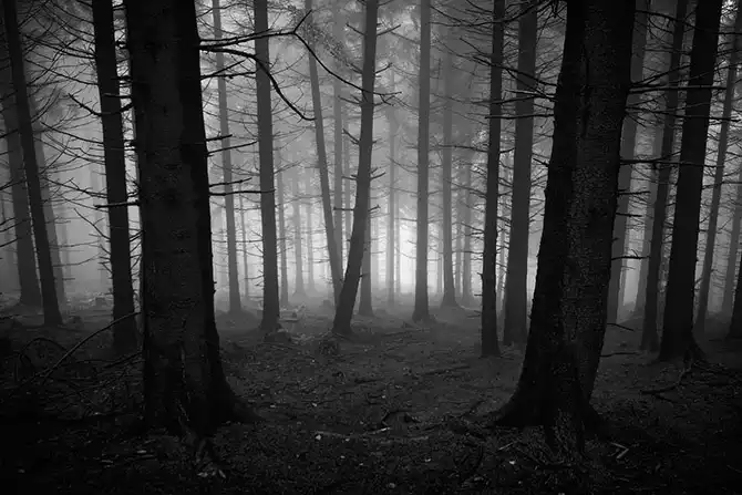 Победители AdMe Photo Awards 2013