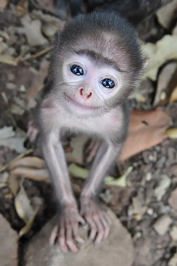 Победители AdMe Photo Awards 2013