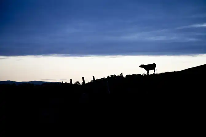 Победители AdMe Photo Awards 2013