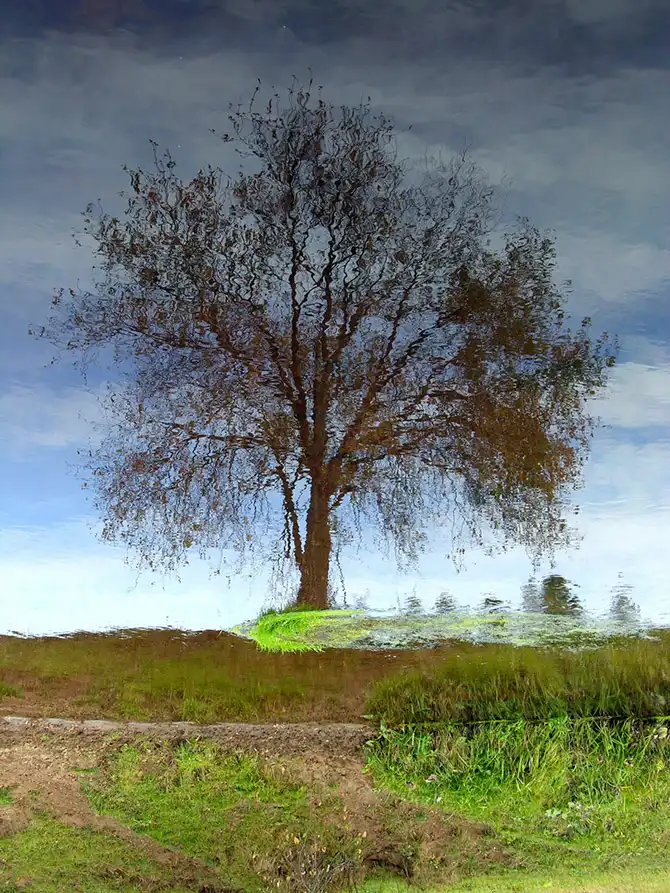 Победители AdMe Photo Awards 2013