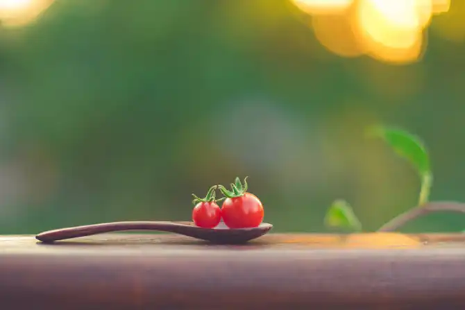 Победители AdMe Photo Awards 2013