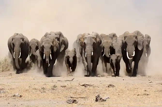 Победители AdMe Photo Awards 2013