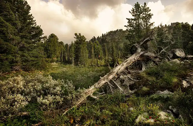 Победители AdMe Photo Awards 2013