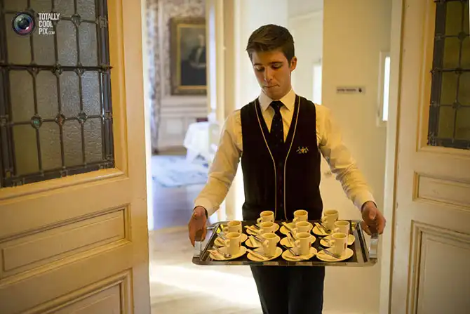 Как подготавливают лучших в мире поваров