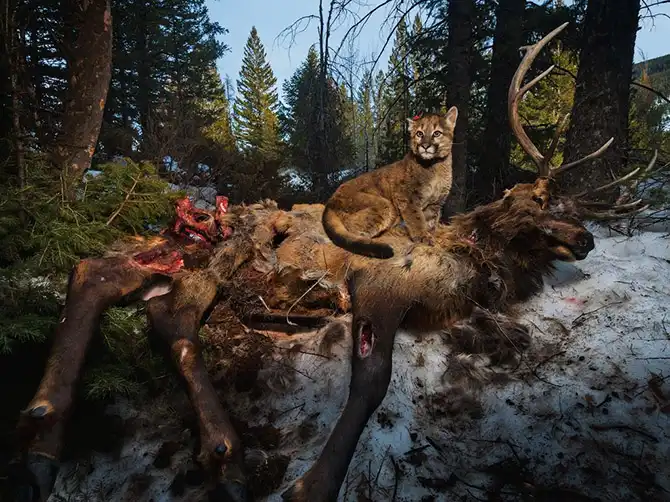 Лучшие фотографии National Geographic января 2014 года