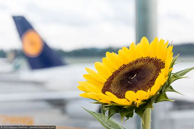 Самый лучший аэропорт на планете