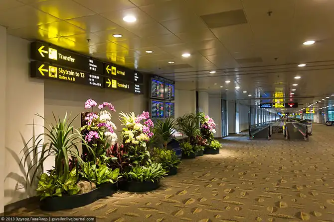 Самый лучший аэропорт на планете