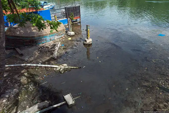 Путешествие в Доминиканскую республику