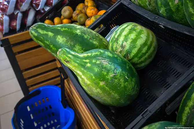 Путешествие в Доминиканскую республику