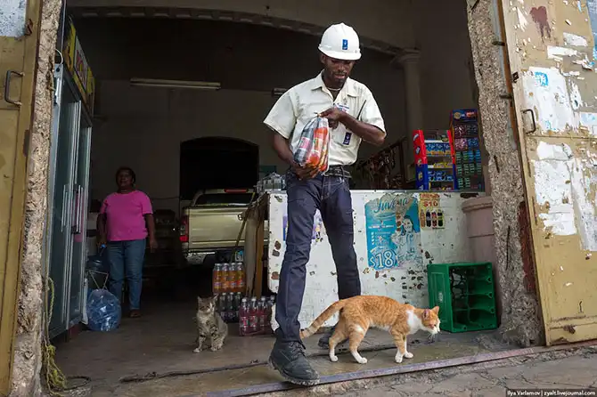 Путешествие в Доминиканскую республику