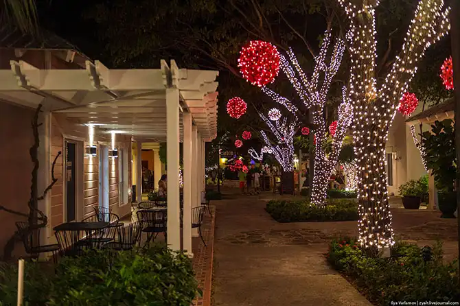 Путешествие в Доминиканскую республику