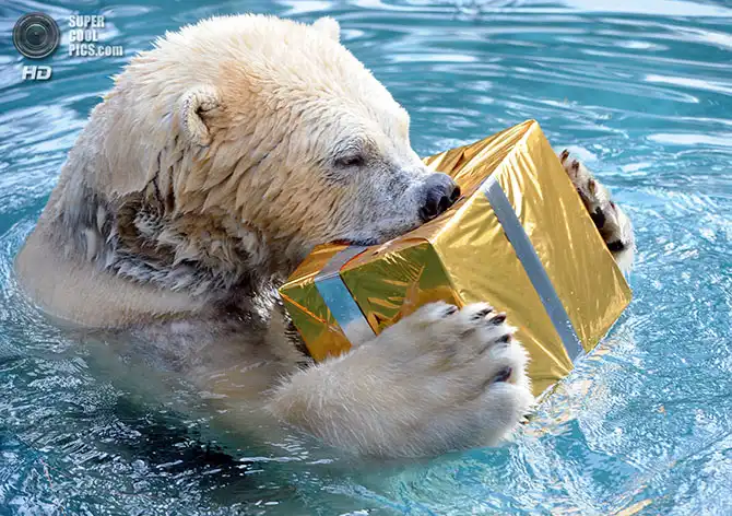 Как отмечают праздники по миру