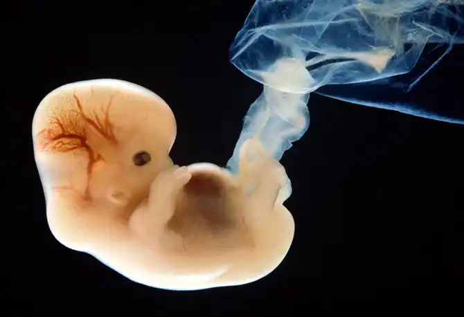 17 главных научных открытий 2013-го года