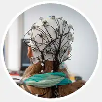 17 главных научных открытий 2013-го года