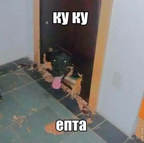 Собако-пост