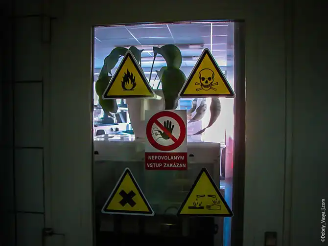 Как делают чешское пиво