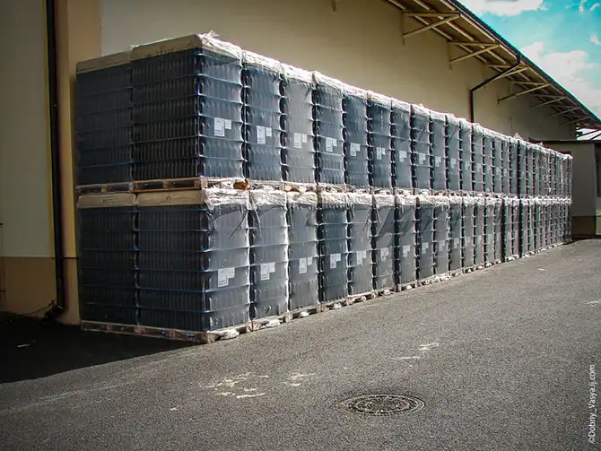 Как делают чешское пиво