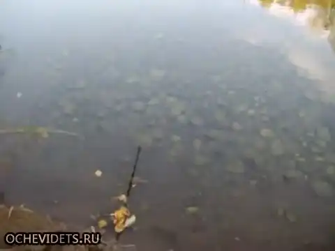 Рыбалка в Сибири...