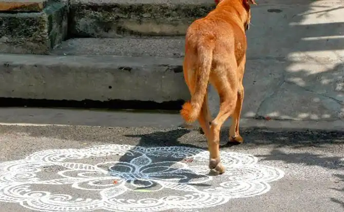 Древнее искусство Индии