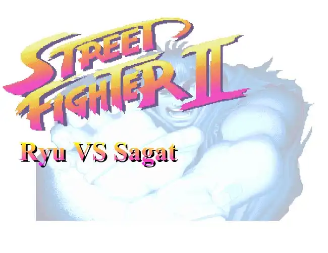 Ryu VS Sagat
