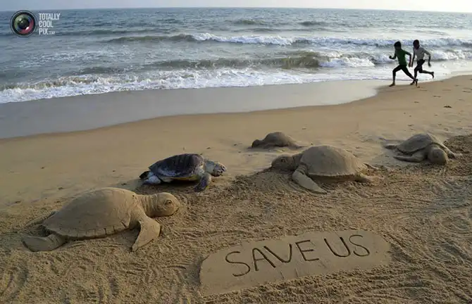 Неделя в фотографиях