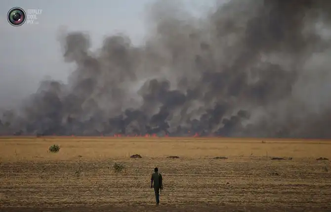 Неделя в фотографиях