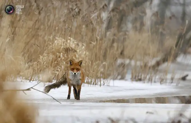 Неделя в фотографиях