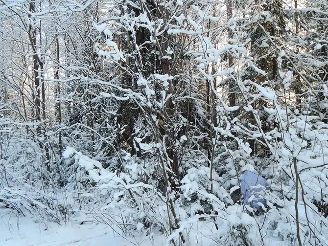Прогулка по заброшенному детскому лагерю