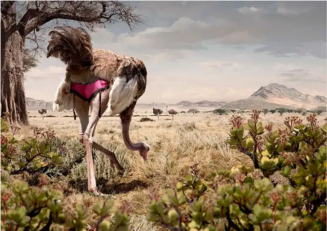 Лучшие ретушеры мира