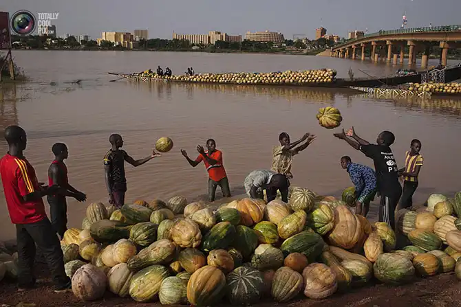 Жизнь в Нигере