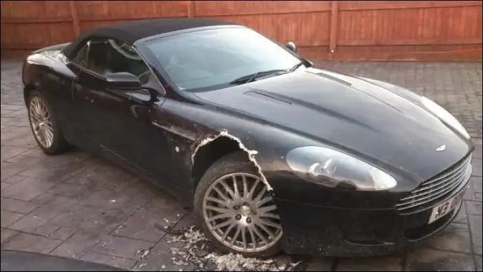 Собака погрызла дорогостоящий Aston Martin