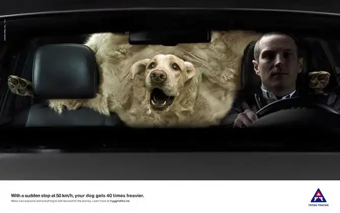 Лучшая печатная реклама января 2014