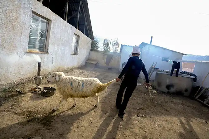 Краденые невесты Кыргызстана