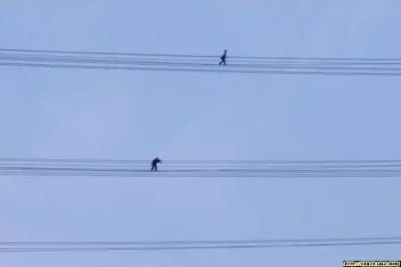 Думаете это птицы на проводах ?
