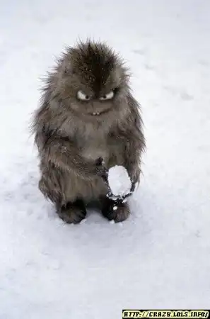 Поиграем в снежки?