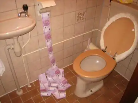 Самая дорогая туалетная бумага в мире?