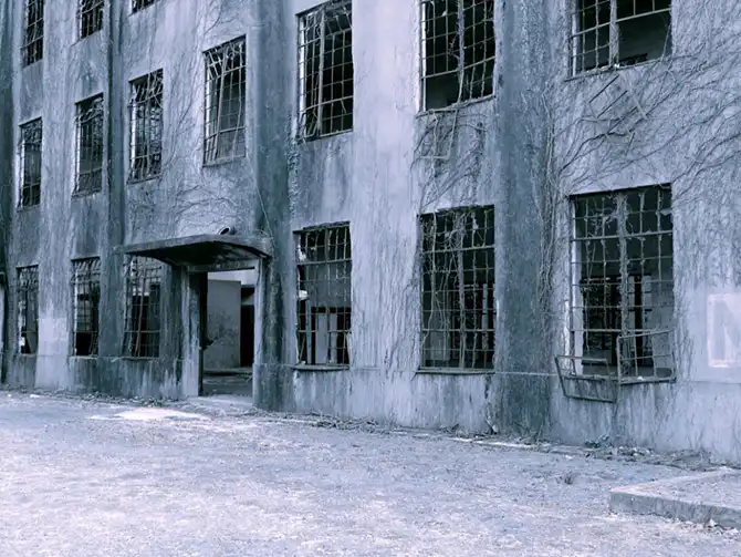 Путешествие на Острова кроликов в Японии