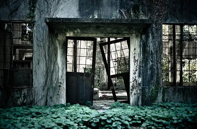 Путешествие на Острова кроликов в Японии