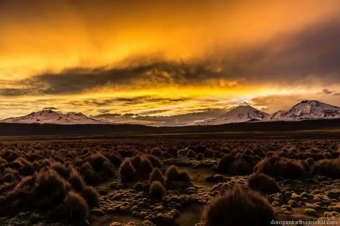 Прогулка по национальному парку Сахама