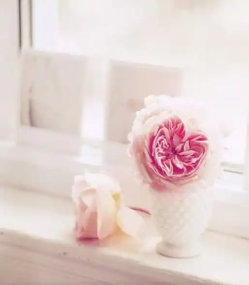 Соляночка =З