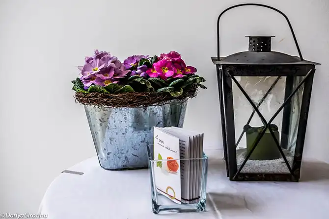 Прогулка по Вене