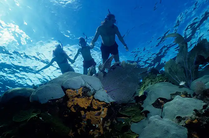 25 лучших мест для сноркелинга