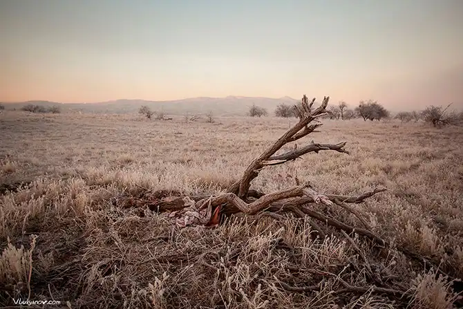 Путешествие по Каппадокии на воздушном шаре