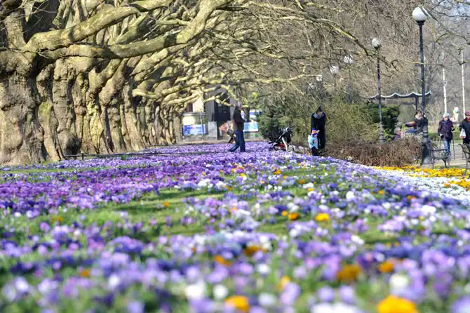 Первые весенние дни